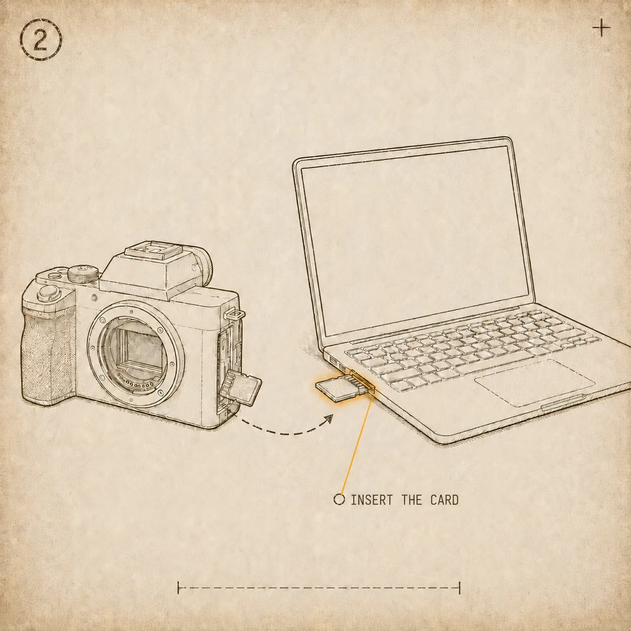 Pop the SD card out of the camera and into your computer’s card slot (or a reader).