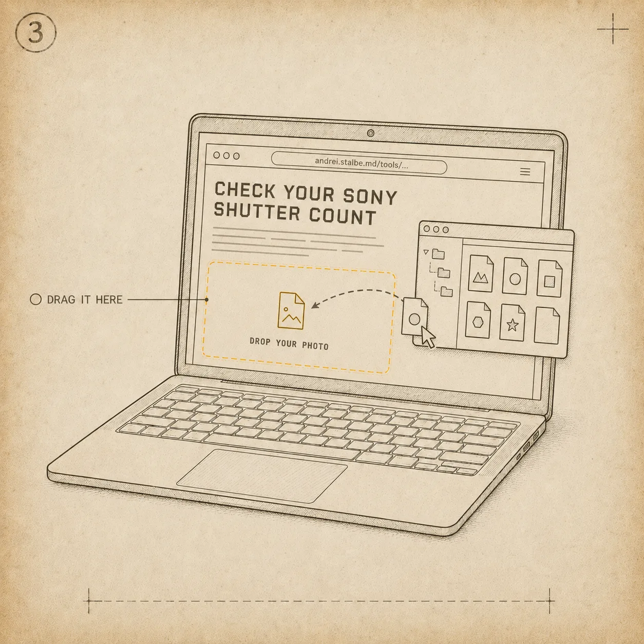 Open the card’s DCIM folder, then drag the original JPG or ARW onto the drop zone on this page.